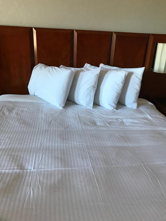 Extend-A-Suites Phoenix Luaran gambar
